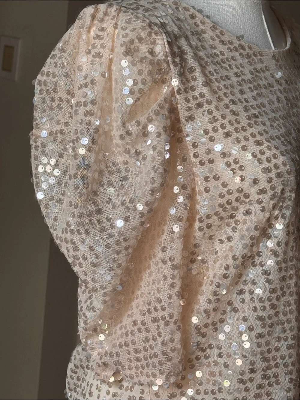 Zara Sequin Mesh Top Women’s Large L Champagne Nude Puff Sleeve Party Evening
